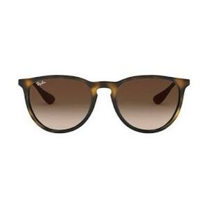 Ray-Ban Erika Sunglasses